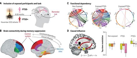 Revealing the Role of Suppressed Memories in Dreams about Shattering