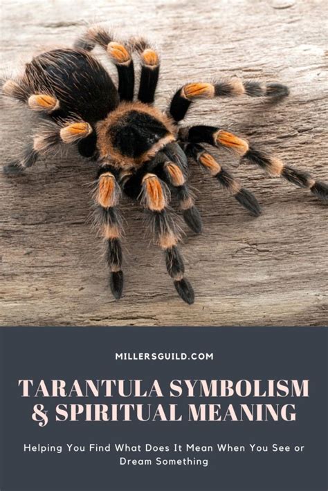 Revealing the Symbolic Significance of Tarantulas