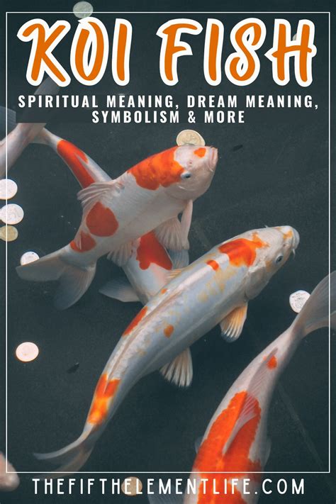 Revealing the Symbolic Significance of the White Koi: A Journey of Metamorphosis and Development