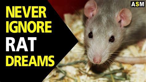 Revealing the Unconscious: How Rat Dreams Mirror Deep-Seated Fears and Anxieties