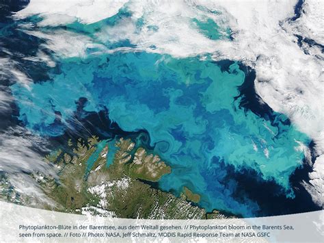 Revealing the Unexpected Role of Ocean Waves in Climate Regulation