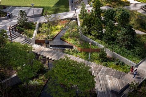 Revitalizing Urban Spaces with Petite Arboreal Landscaping