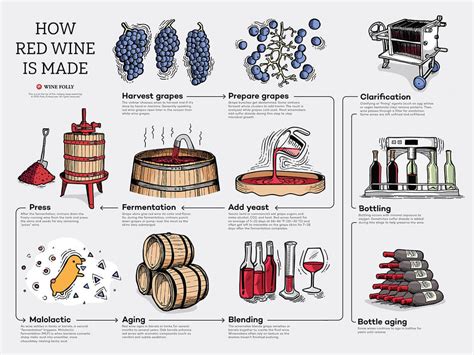 Revolutionizing the process: advancements in wine-making techniques