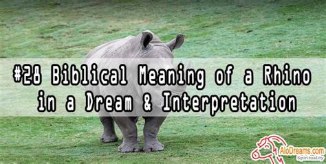 Rhino Dreams: Interpreting and Analyzing Symbolic Meanings