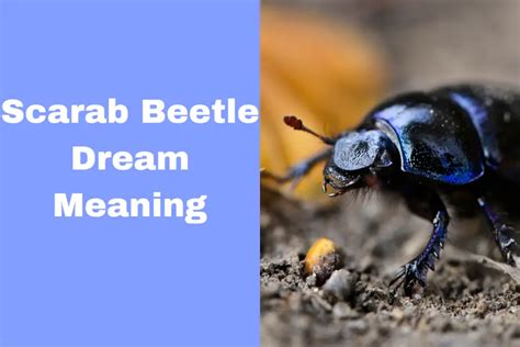 Rhinoceros Beetle Dreams: A Journey into the Depths of the Subconscious