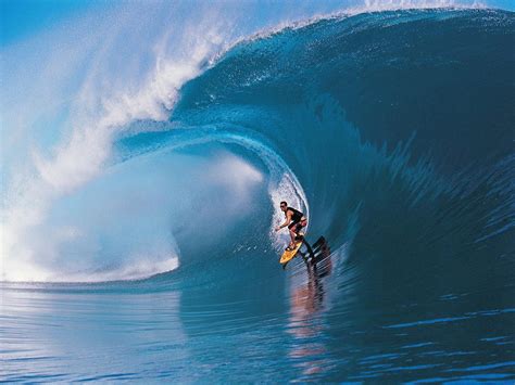 Riding the Wave: The Thrills and Perils of Surfing