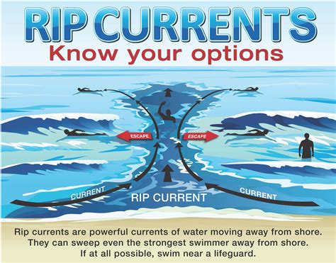 Rip Currents and Beach Safety: Educating Yourself and Others