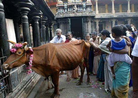 Rituals and Ceremonies Unveiled: Peeking into the Sacred Traditions at Hindu Temples