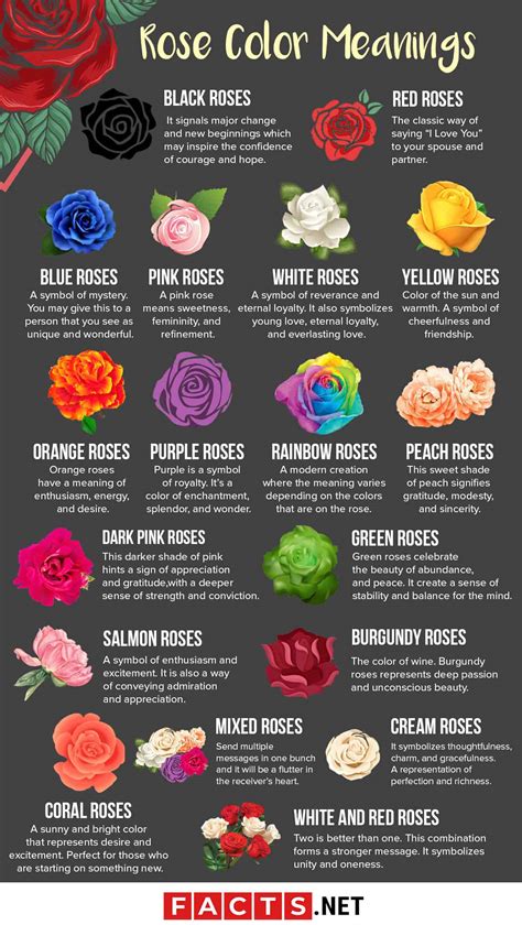 Rose Symbolism in Love and Romance