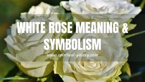 Roses in Art: An Insight into Symbolic Representation