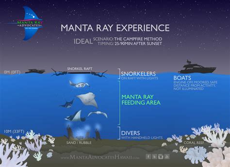 Safety First: Guidelines for Interacting with Stingrays