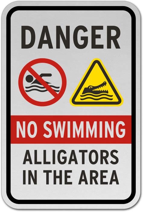 Safety Measures for Swimming in Areas Inhabited by Alligators