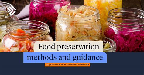 Salt and Preservation: Exploring its Role in Historical Food Preservation Techniques