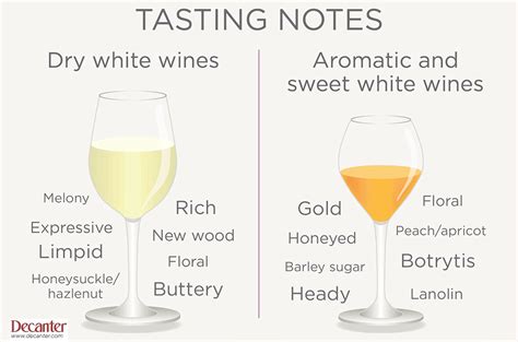 Savoring the Flavors: The Significance of Tasting Notes in Alcohol Appreciation