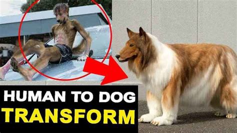 Scientific Explanation: Is it Possible for Dogs to Transform into Undead Creatures?