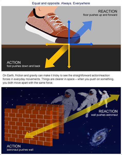 Scientific Explanation: The Physics Behind Walking on Liquid Surface