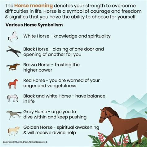 Scientific Explanations for Imagining an Ivory Equine in the Atmosphere