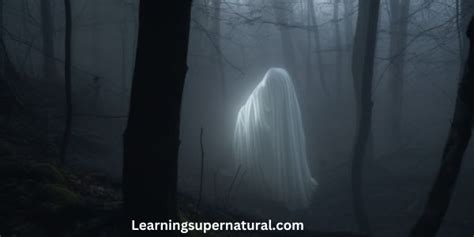 Scientific Explanations for Mysterious Encounters with Apparitions in Dreamscapes