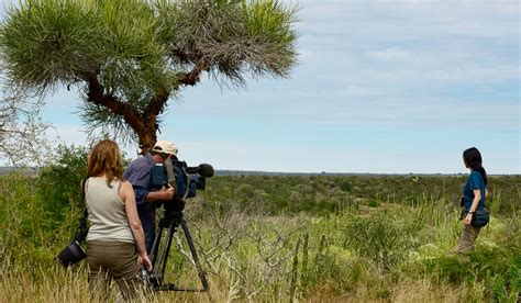 Scout Ideal Filming Locations