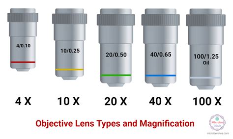 Seeking Clarity: The Benefits of Developing an Objective Lens on Existence