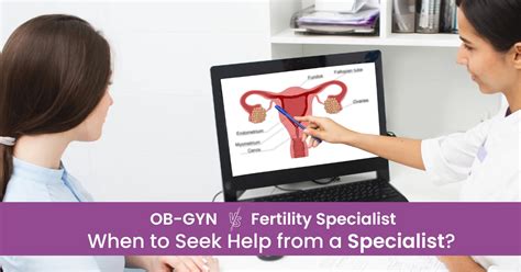 Seeking Support: Finding the Right Fertility Specialist and Support Network