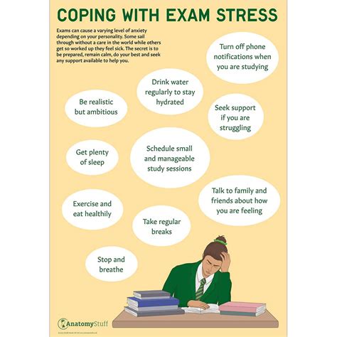 Seeking Support: Resources for Coping with Exam Stress