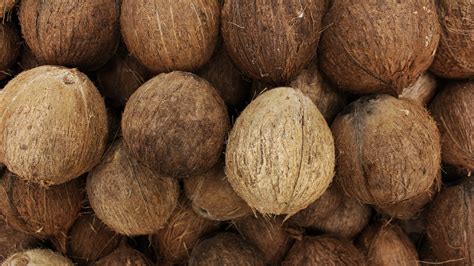 Selecting the Appropriate Coconut Palm Variety for Your Climatic Conditions