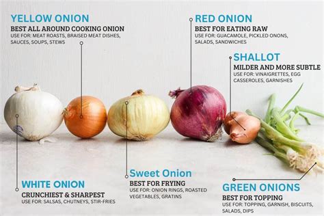 Selecting the Ideal Onion Varieties for Your Vegetable Patch