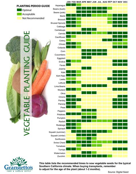 Selecting the Ideal Planting Season