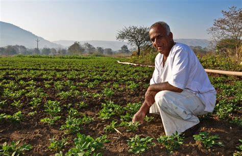 Selecting the Optimal Groundnut Varieties for Your Geographic Area