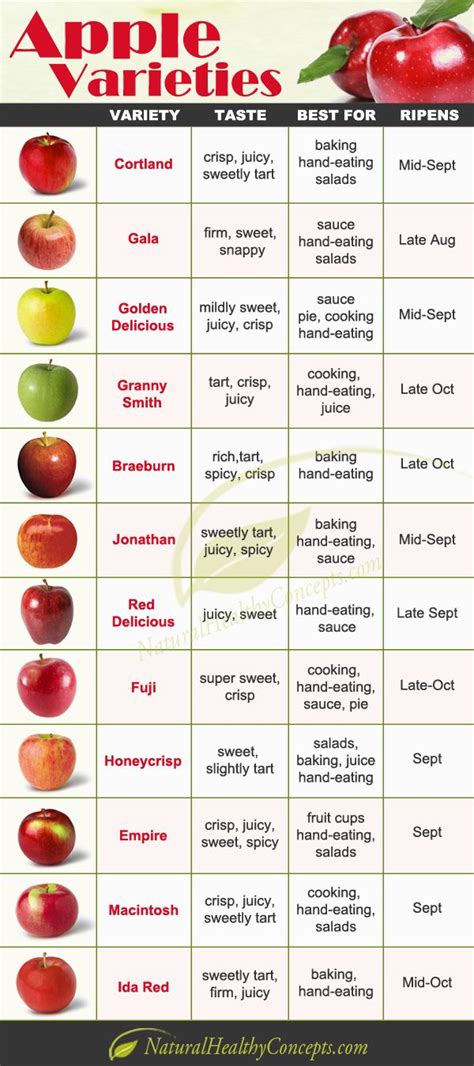 Selecting the Perfect Apple Varieties for Your Fruit Farm