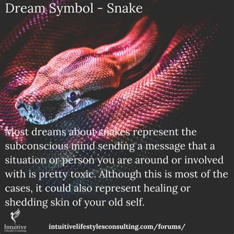 Serpent in Dreams: An Overview of Symbolism