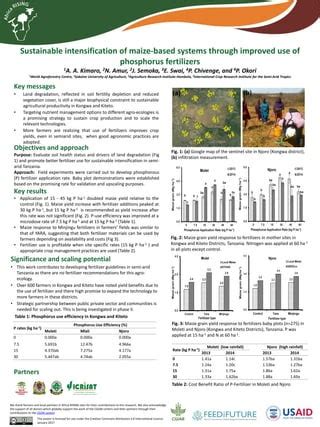 Setting Clear Objectives and Developing a Strategy for Maize Production