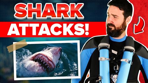 Shark Attack Survival Stories: Tales of Courage and Resilience