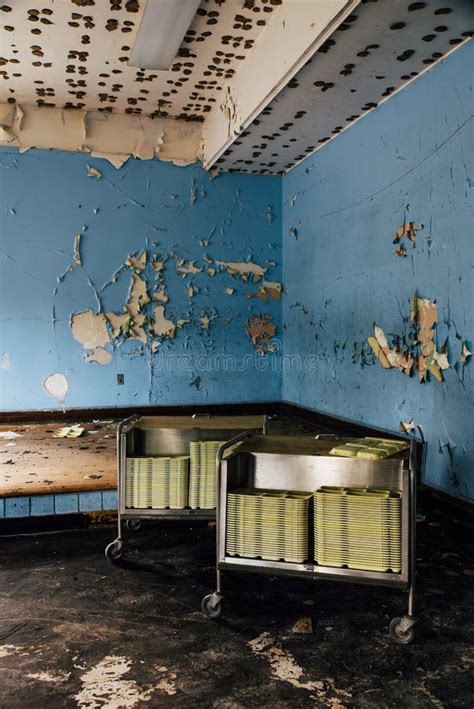 Shock and Distress: School Cafeteria's Lunch Trays Infested with Larvae