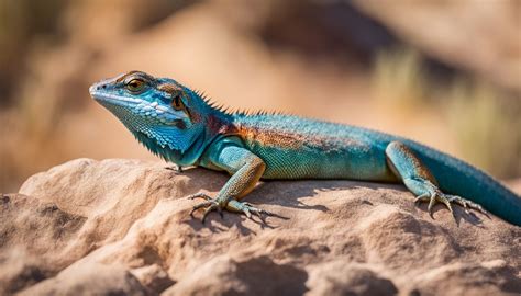 Significance of Lizards in Various Cultural and Spiritual Practices