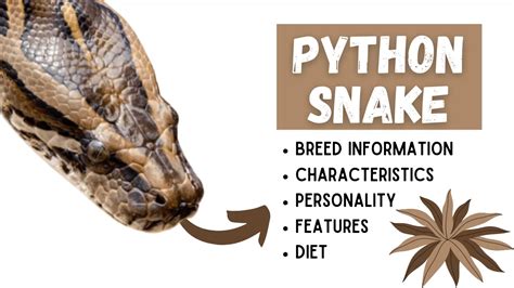 Significance of the Snake's Appearance and Characteristics