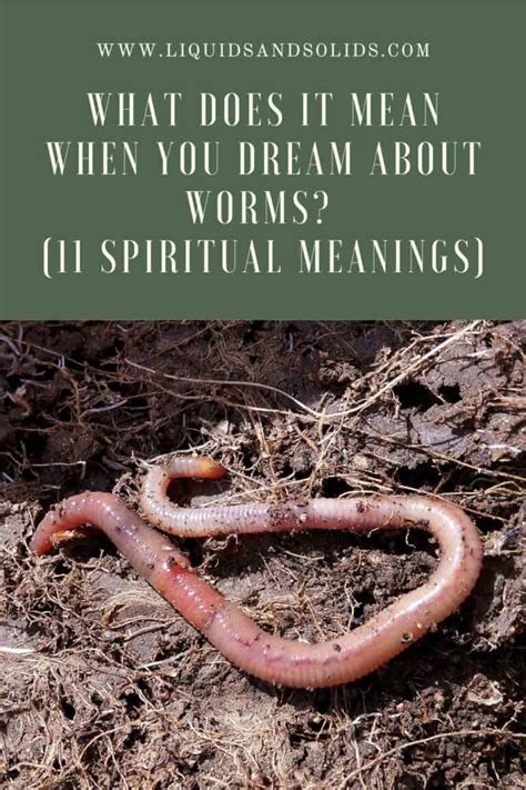 Significant Meanings of Worms as Symbols in Dreams