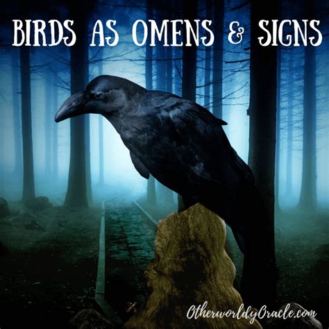 Signs and Omens: Decoding the Message of an Enigmatic Nocturnal Bird