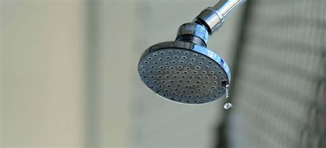 Signs and Symptoms: How to Identify a Leaking Shower