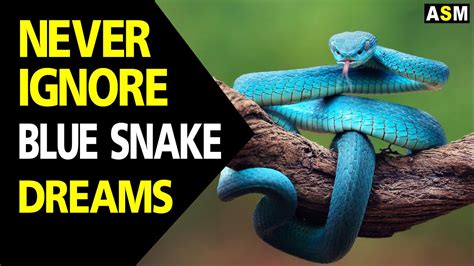 Signs and Warnings: When Serpents Invade Your Dream Dwelling