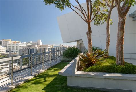 Sky-High Serenity: The Advantages of Cultivating a Rooftop Garden