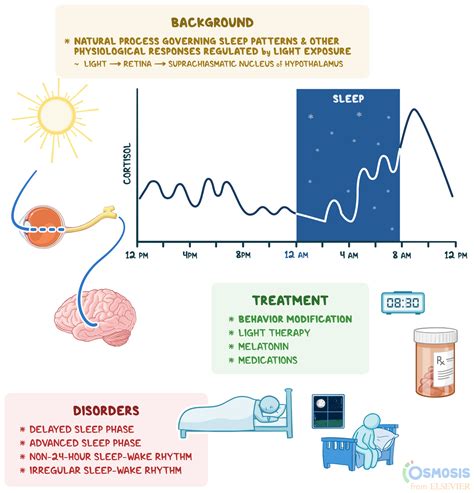 Sleep Disorders and Their Impact on Patterns of Nighttime Reveries