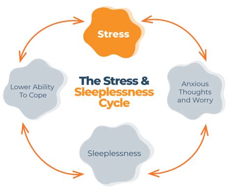 Sleeping Together: The Impact on Stress and Anxiety