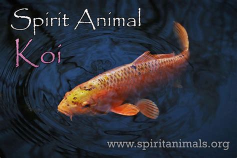 Small Fish as Spirit Animals: Their Messages and Lessons