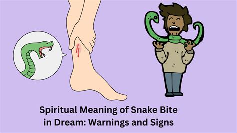 Snake Bite in Dreams: Signs and Interpretations