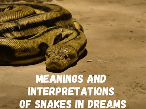 Snake Dreams in Different Cultures: A Comparative Study of Serpent Symbolism Worldwide