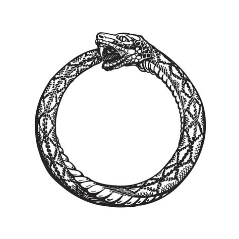 Snake Rings: A Symbol of Power and Rebirth in Different Cultures