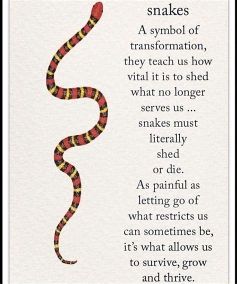 Snakes: Symbols of Transformation