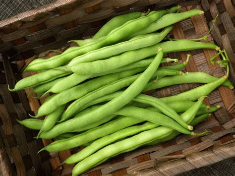 Snap Beans in Popular Culture: Their Role in Movies and Literature